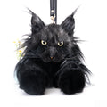 Chongker Maine Coon Cat Backpack | Realistic Plush