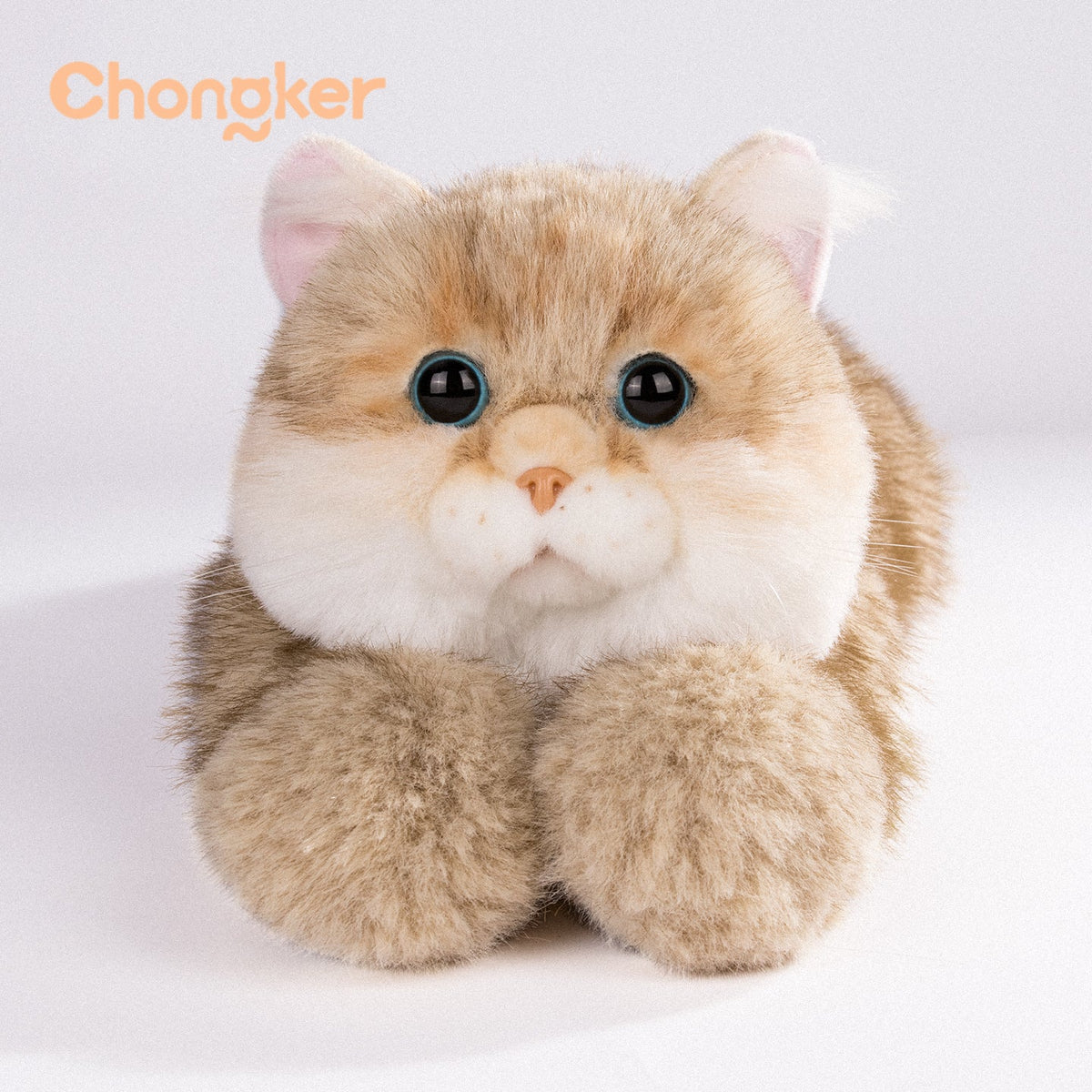 Chongker Golden British Shorthair | Cat Plushie
