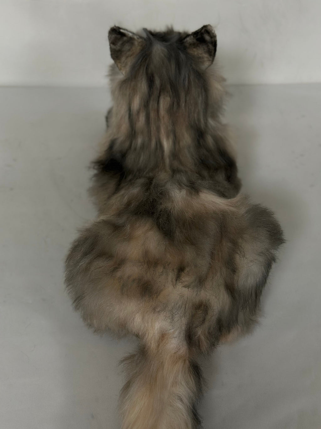 Chongker American Tabby Longhair | Realistic Cat Plushie