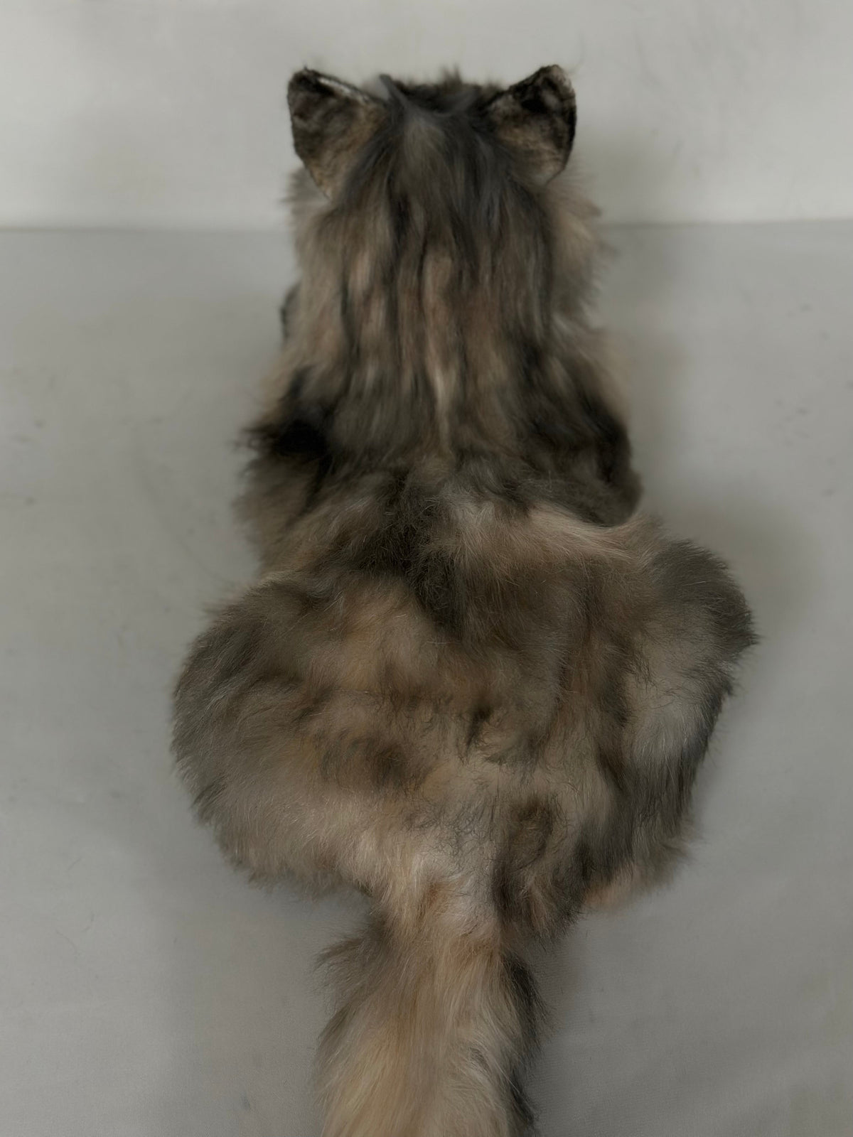 Chongker American Tabby Longhair | Realistic Cat Plushie