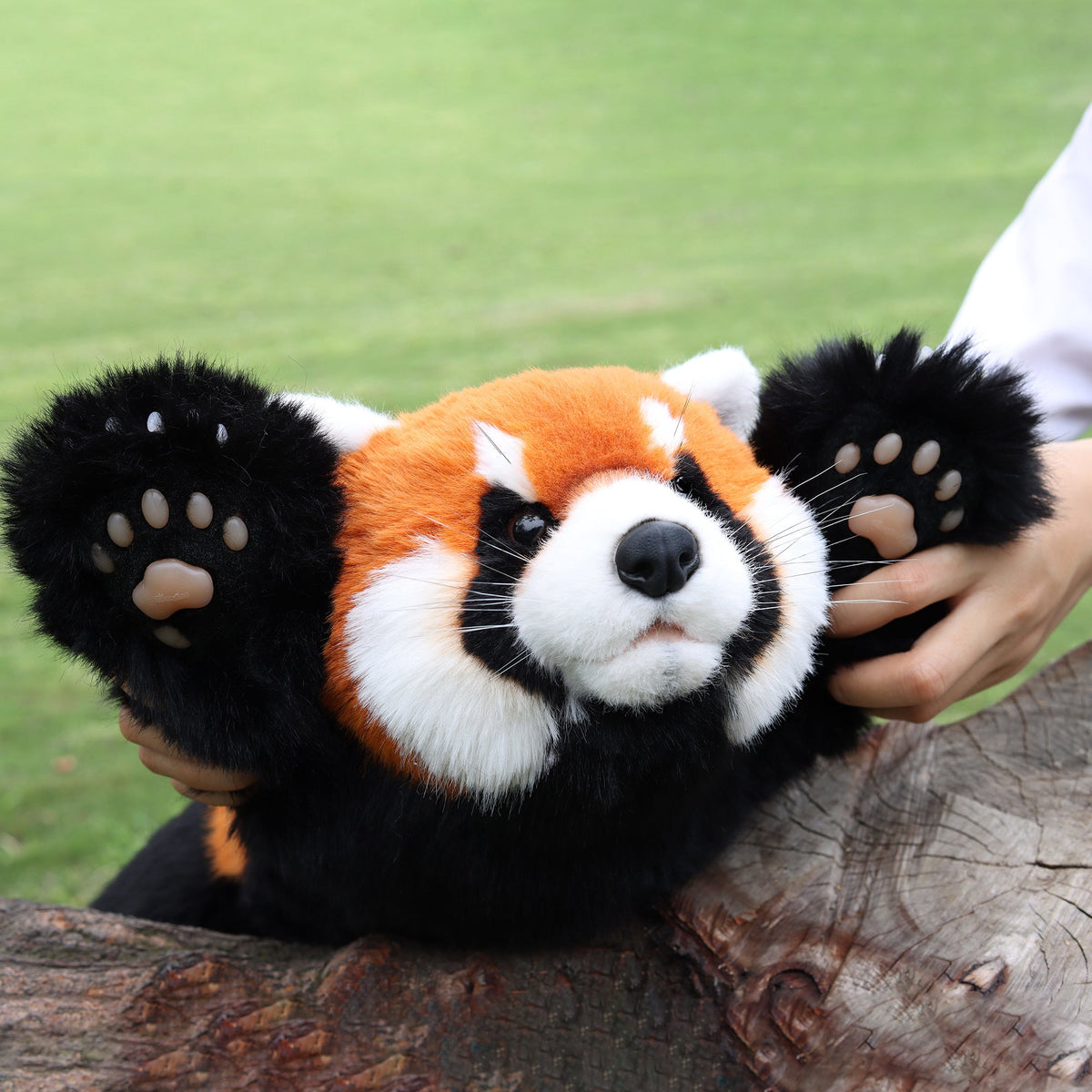 Chongker Red Panda | Weighted & Breathing Plushie Options