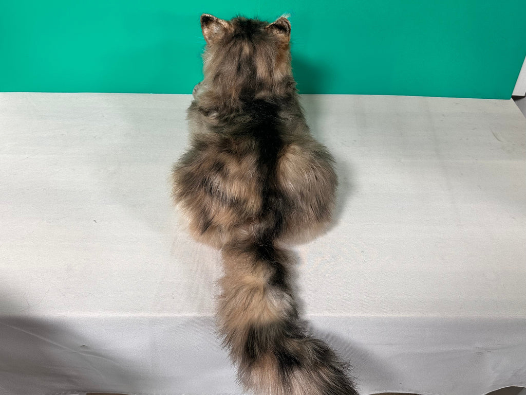 Chongker Norwegian Forest Cat | Realistic Plushie