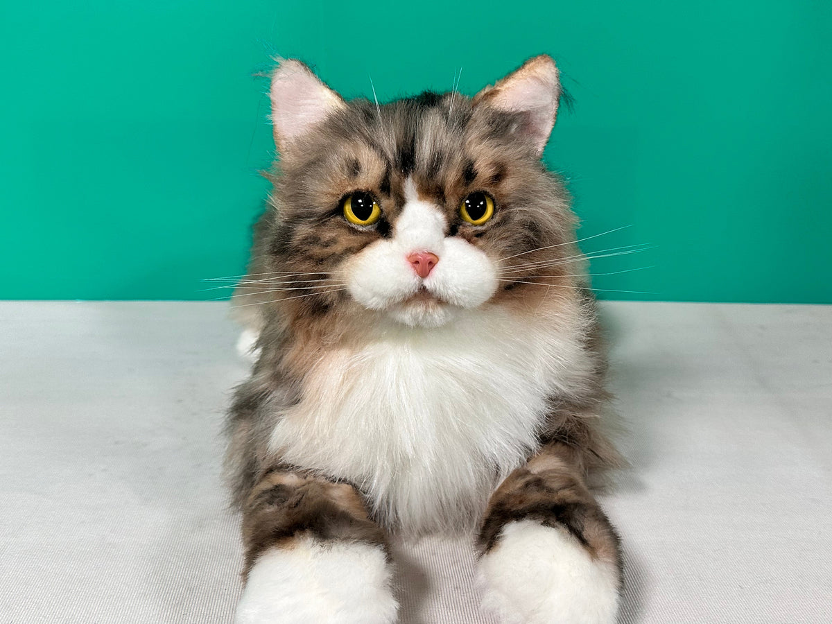 Chongker Norwegian Forest Cat | Realistic Plushie