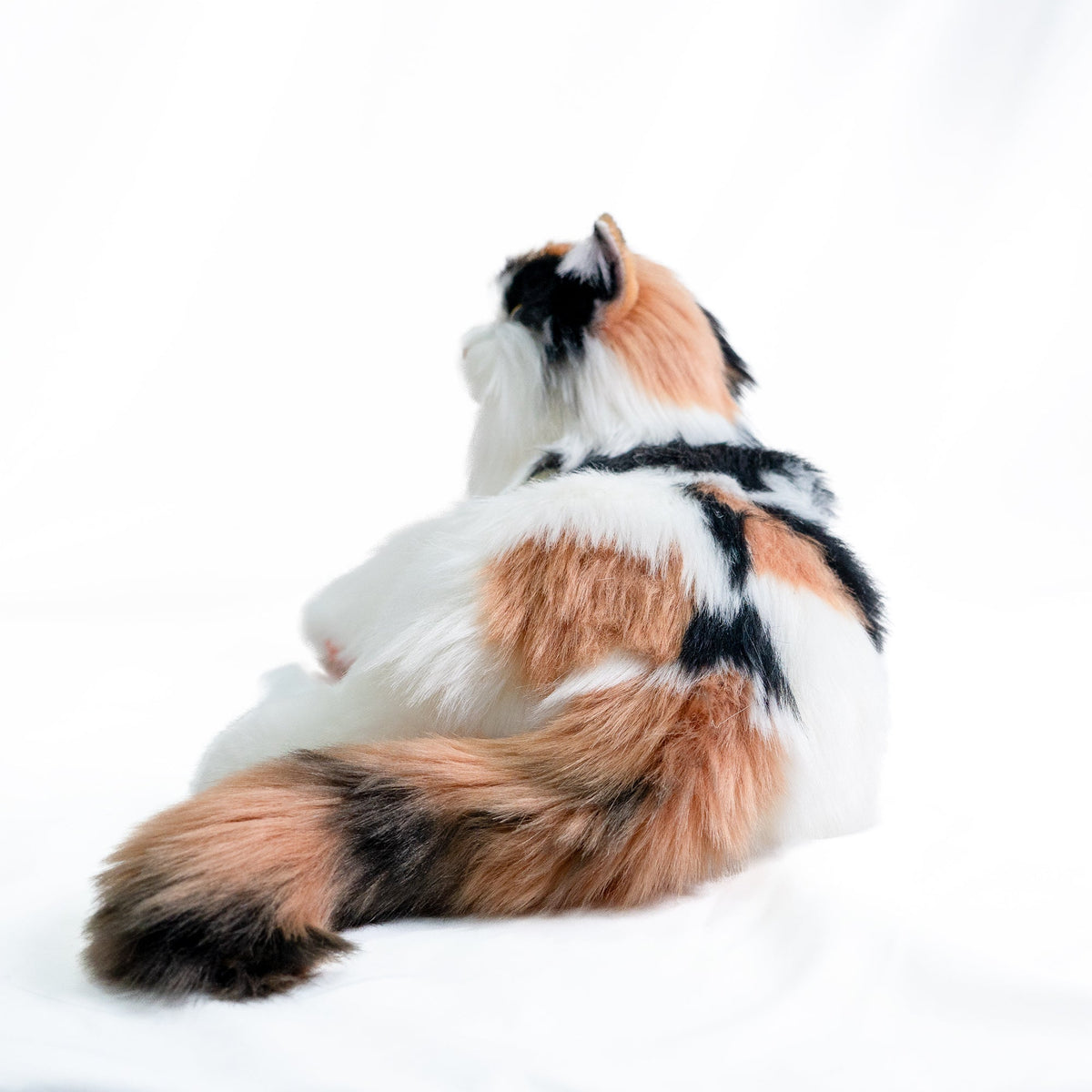 Chongker Percy 2.0 | Interactive Breathing Robotic Cat