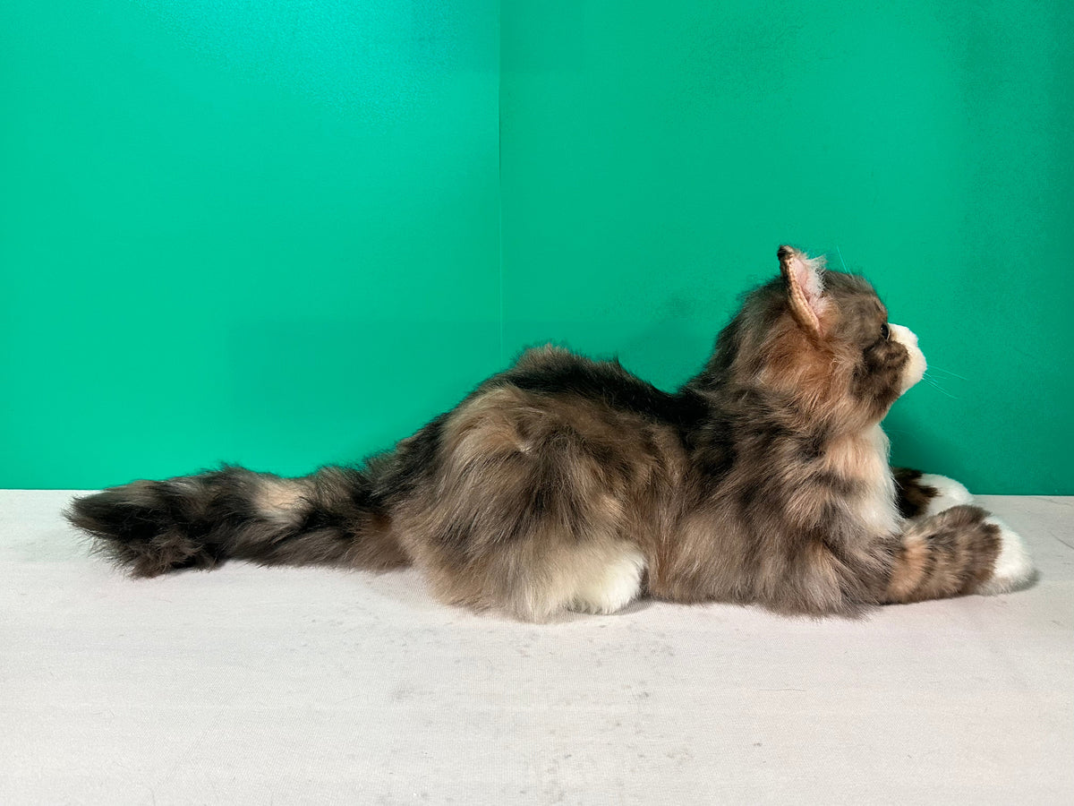 Chongker Norwegian Forest Cat | Realistic Plushie