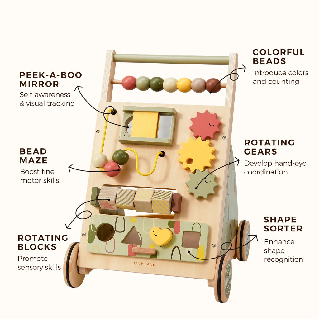 Tiny Land First Steps Sage | Wooden Baby Activity Push Walker