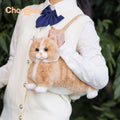 Chongker ginger cat plush crossbody bag