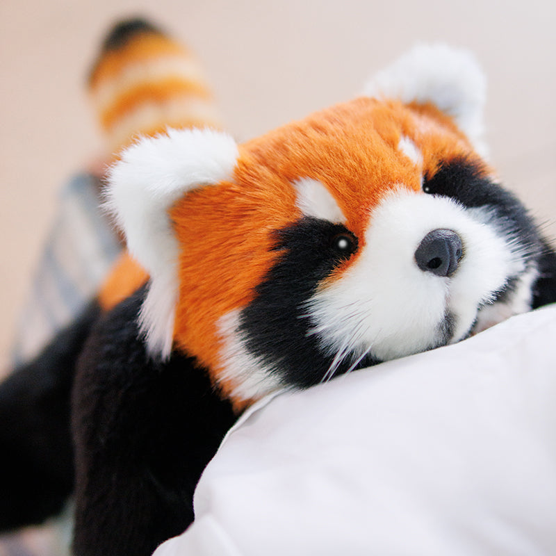 Chongker Red Panda | Weighted & Breathing Plushie Options
