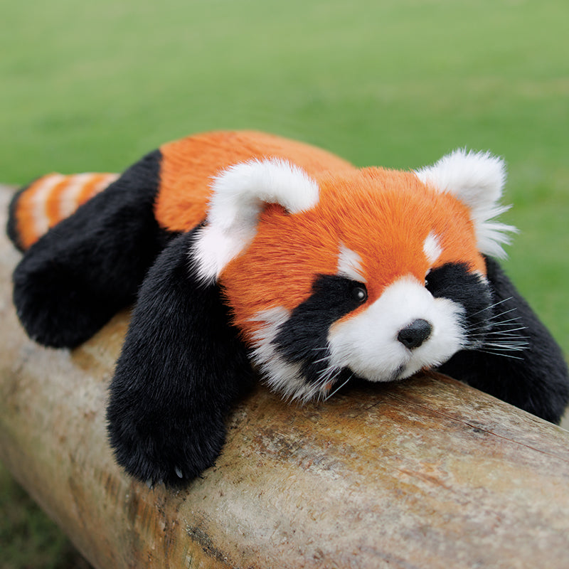 Chongker Red Panda | Weighted & Breathing Plushie Options