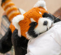 Chongker breathing red panda plush