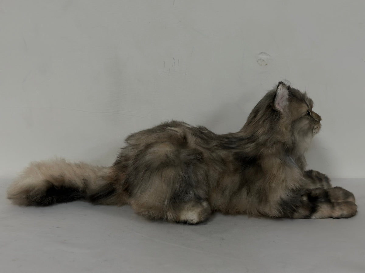 Chongker American Tabby Longhair | Realistic Cat Plushie