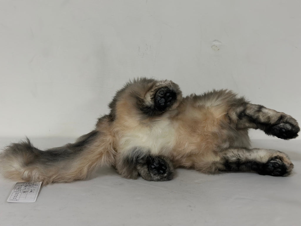Chongker American Tabby Longhair | Realistic Cat Plushie
