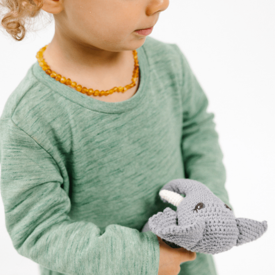 Mini Barry | The Little Elephant with Big Ears