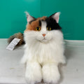 Chongker realistic calico cat plush companion