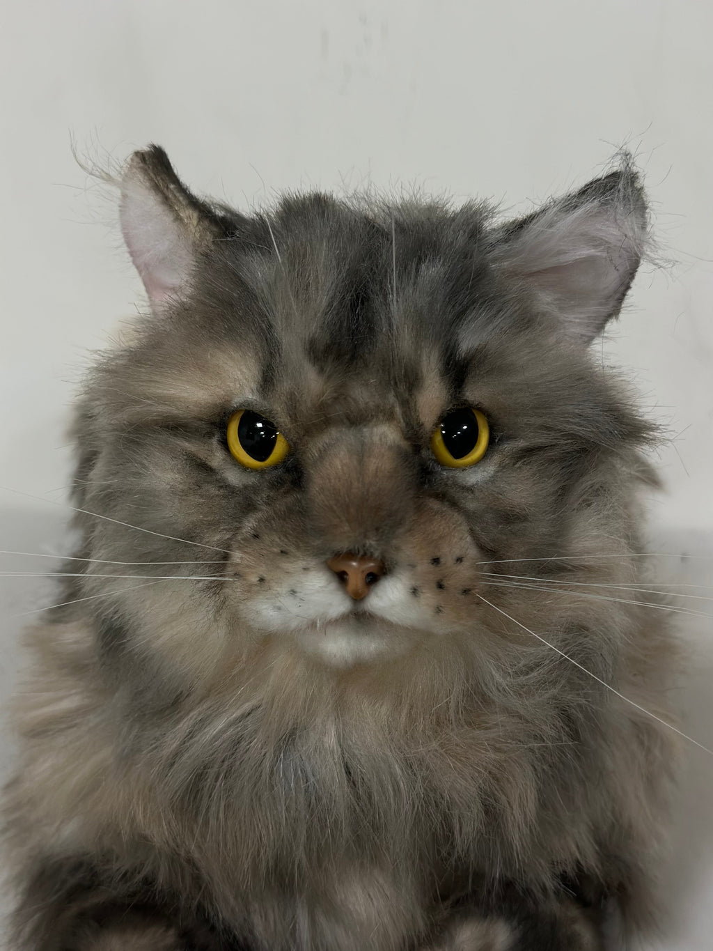 Chongker American Tabby Longhair | Realistic Cat Plushie