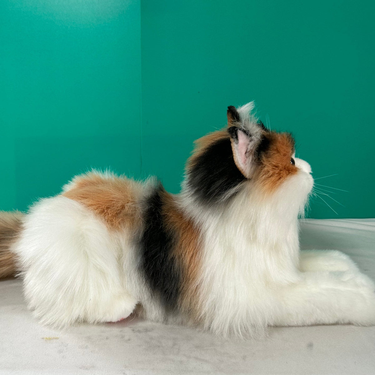 Chongker Calico Cat | Realistic Lifelike Cat Plushie
